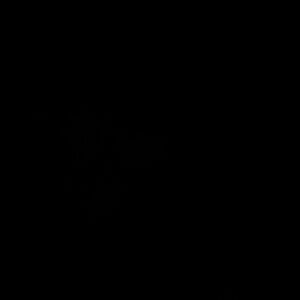 Meet your Posher, Miranda